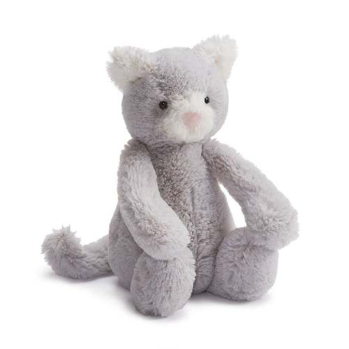 Bashful Grey Kitty