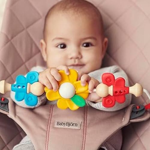 BabyBjörn Toy for Bouncer, Flying Friends : Amazon.ae: Toys