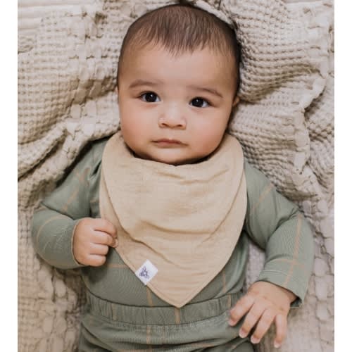 Organic Cotton Baby Bandana Bibs - Ash