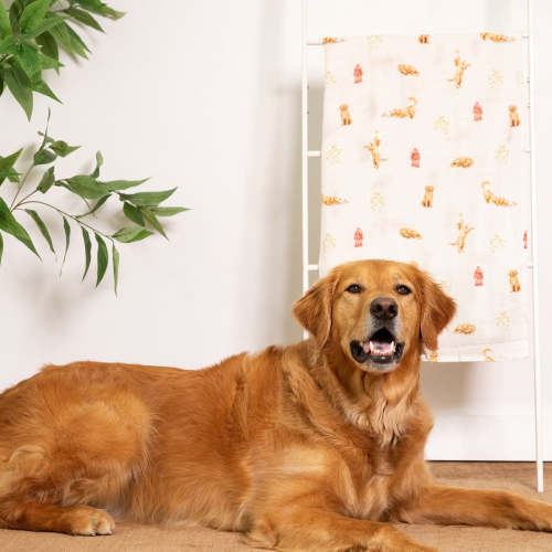 Organic Cotton & Bamboo Muslin Swaddle Blanket in Golden Retriever