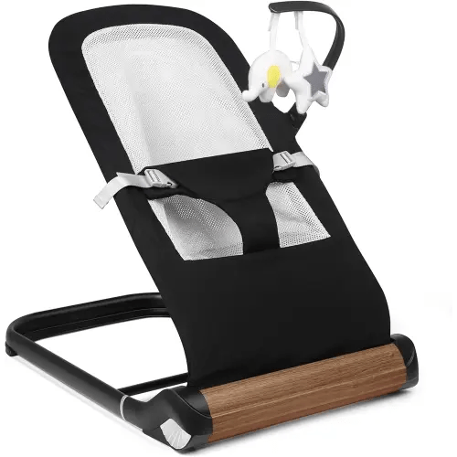 Baby Bouncer Chair - Comfortable Support for Your Little One's Blissful Moments (Net, Black)