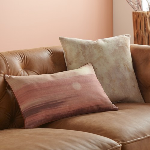 Tatooine Decorative Pillows