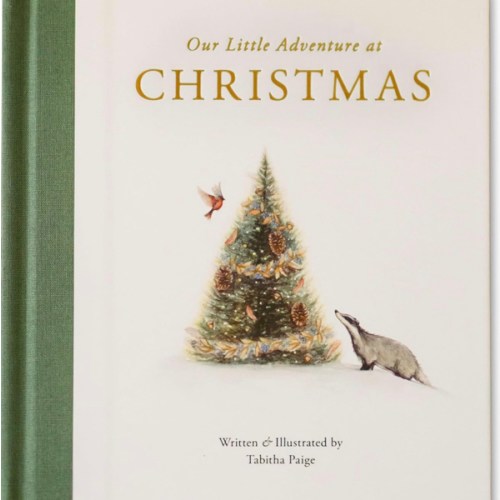 Our Little Adventure at Christmas: Featuring Foundational Language Concepts and Lessons on the Joy of Giving (Tabitha Paige Children's Book Series)