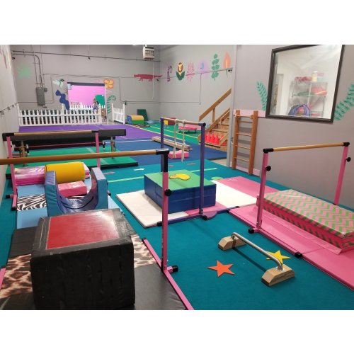 Preschool Gymnastics — FlightSchool Gymnastics Center