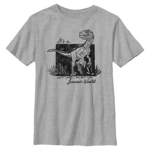Boys Jurassic World Artistic Dino Painting T Shirt - Sport Grey - Large
