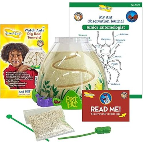 Insect Lore Ant Hill - Ant Habitat with Voucher to Redeem Live Western Harvester Ants - STEM Learning and Education Project for Classrooms or Homeschool