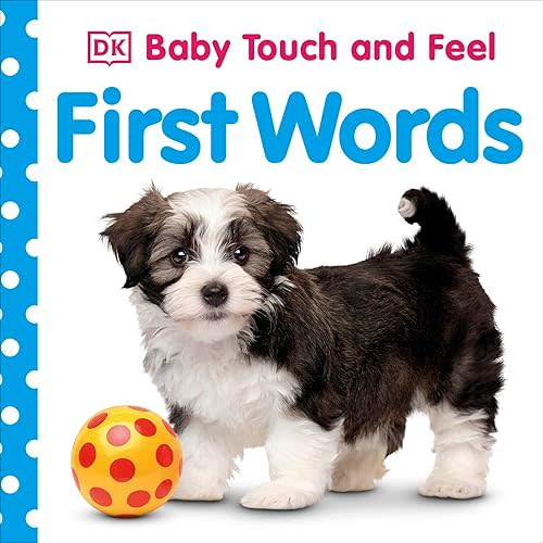 Baby Touch and Feel: First Words Board book – Touch & Feel, August 2, 2016