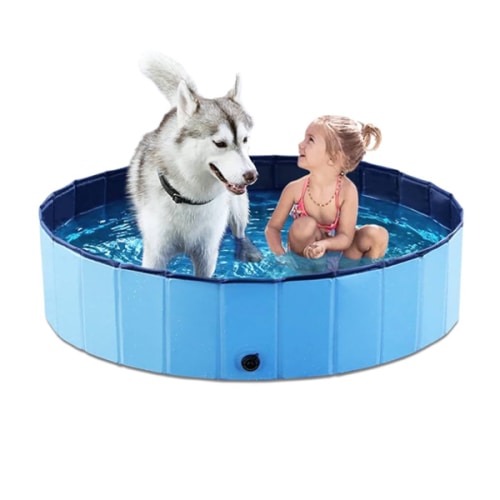 Jasonwell Foldable Dog Pool Collapsible Hard Plastic Dog Swimming Pool Portable Kiddie Pool Pet Pool Doggie Wading Pool Bath Tub for Puppy Small Medium Large Dogs Cats and Kids 39.5"