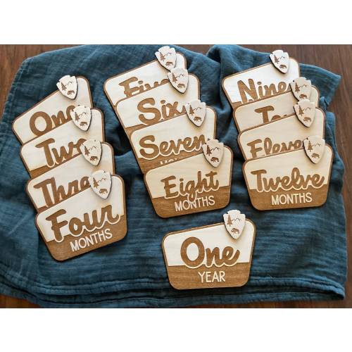 National Park Baby Signs, Adventure Baby Signs, Baby Photo Prop, Monthly Milestone Marker, Baby Monthly Milestone Cards, Baby Shower gift