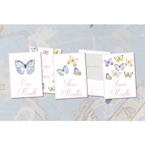 Butterfly Girl Monthly Milestone Cards / Grandmillennial Watercolor Month Photo Cards / Watercolor Butterflies / Preppy Girl / Baby Shower