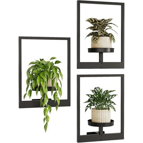 Bamworld Wall Planters for Indoor Plants Plant Holders Hanger Plant Stand Indoor Wall Decor Window Plant Shelves Hanging Planters 3 Pack (Patent Design)
