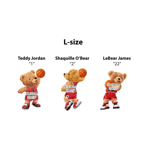 Teddy Jordan (L) - Red Teddy Bear Basketball Team