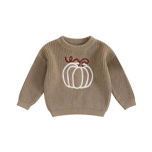 Toddler Baby Girl Knit Sweaters Oversized Long Sleeve Embroidery Shirt Top Newborn Infant Cute Fall Winter Clothes