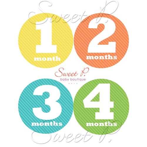 Baby Monthly Milestone Stickers, Gender Neutral Photo Prop