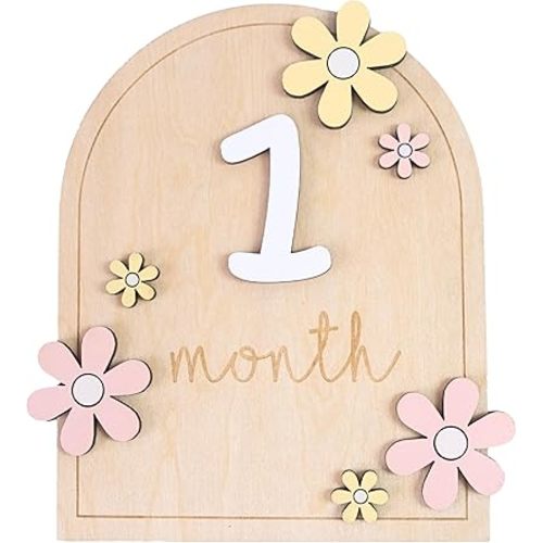 Baby Monthly Milestone Sign,1-12 Monthly Milestone Signs, Baby Girl Nursery Decoration, Newborn Photography Props Double-Sided (M01)