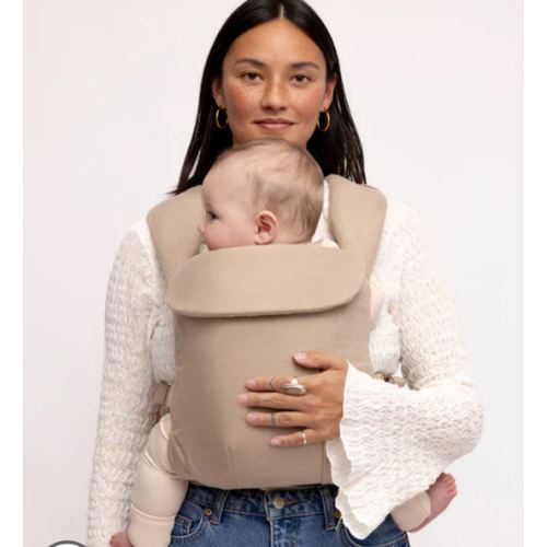 Desert Lark - Aerial Carrier – WildBird