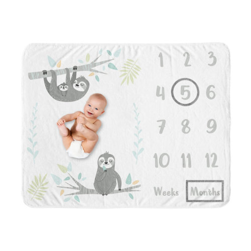 Sweet Jojo Designs Sloth Aqua Grey Fleece Baby Blanket & Reviews | Wayfair