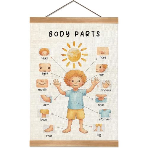 ZTGDA Body Parts Wall Art Poster, Body Cognitive Nursery Wall Art, Kindergarten Teaching Supplies,Cute Playroom Decor,Kids Room Decor Poster 12x16inch(Boys)