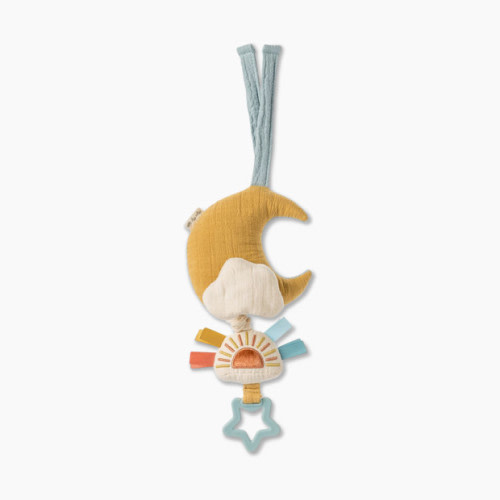 Bitzy Notes Musical Pull-Down Toy - Moon