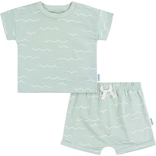 Gerber Baby-Boys T-Shirt And Shorts Set