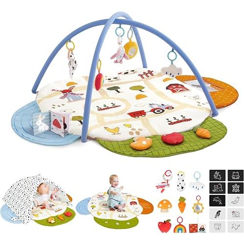 Baby Gym Play Mat, 4-in-1 Tummy Time Mat & Farm-Themed Activity Gym | Baby Play Gym with Play Space Cover & 9 Sensory Toys, Baby Activity Center & Playmats for Babies 0-6 6-12 Months