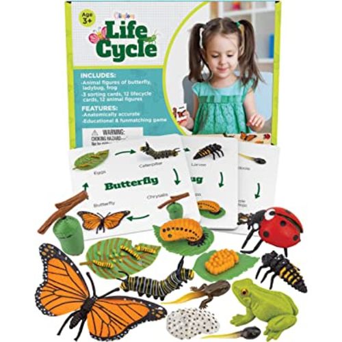 GLINGLONG Life Cycle Kit Toy Montessori - Realistic Figurine Toys, Kids Figure Animal Match Set with Frog, Ladybug & Butterfly - Includes 12-Piece. Educational & Fun Matching Game for Children 3+