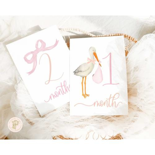 Girl Milestone Cards | Milestone cards | Stork | Baby Gift | New Mom | Gift Ideas | Baby Shower | Baby Month Cards | Memories | Baby Girl