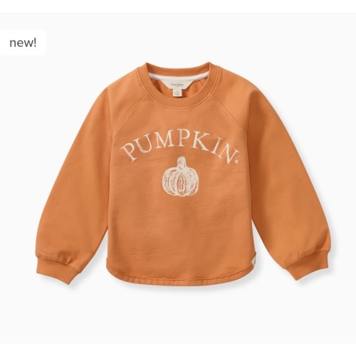 Pumpkin Organic Cotton Sweatshirt – Burt's Bees Baby