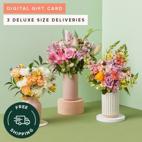 eGift Subscription: 3 Months of Flowers