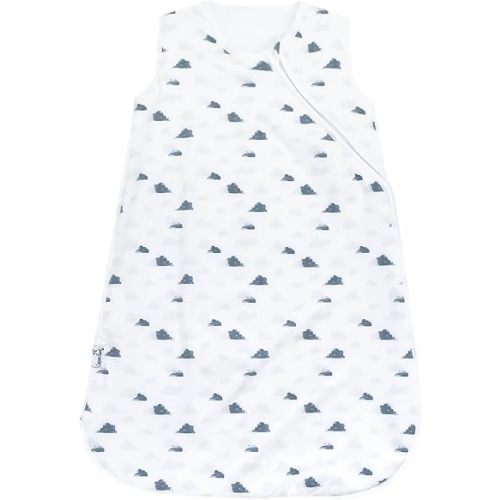 Copper Pearl Sleep Sack: Warm and Cozy Baby Bag in a Variety of Trendy Designs, Safe Alternative to Blankets, Sleeveless Baby Sleep Sack Swaddle Sizes Newborn to 24 Months - Dream