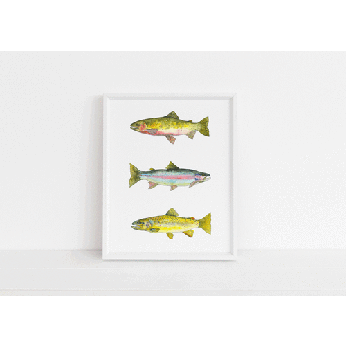 Jennie Kilcup Watercolors - Trout Trio