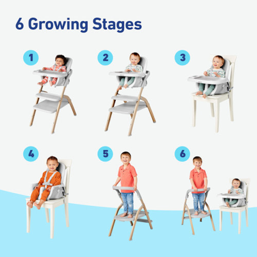Highchair EveryStep Slim 6-in-1 - Misty