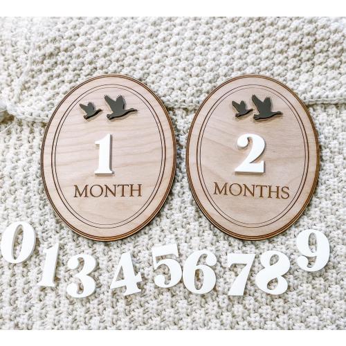 Duck Monthly Milestone Markers, Monthly Photo Sign, Mallard Milestone Discs, Baby Shower Gift, Baby Photo Props, Duck hunting monthly Photos