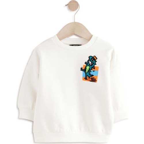 Kids' Dinosaur Graphic Sweatshirt, 12-18M