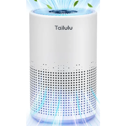 Air Purifiers for Bedroom Home Pets 800 Ft², Tailulu H13 True HEPA Air Filter Portable Air Purifier with Sleep Mode, Speed Control,Timer,Quiet Air Cleaner For Odor Dust Smoke Pollen 15db AP050