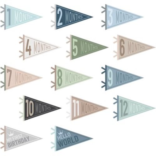 LZLINGMEI 14 Pcs Baby Felt Pennant Milestone Signs Monthly Milestone Banner Flags Pennant Triangle Banner Age Milestone Flag Signs for Boy Girl Newborn Birthday Party Decor(Assorted Colors)