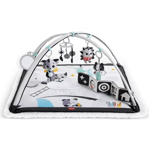Tiny Love Magical Tales Gymini Baby Activity Gym and Mat - Ages 0+