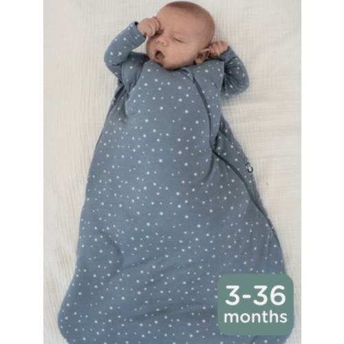 Sleep Sack  (9-18 MONTH) - Dream / 1.0 TOG