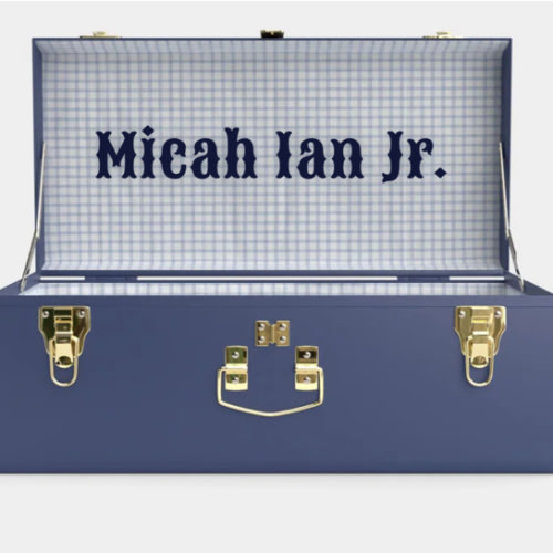 Petite Classic Trunk - Navy - Picnic in Blue / Embroidery
