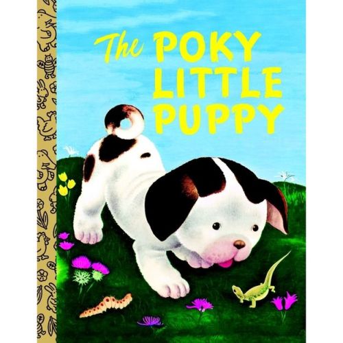The Poky Little Puppy - (Little Golden Book) Abridged by Janette Sebring Lowrey (Board Book)