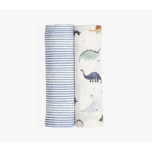 Organic Dillon Dino Swaddle Set of 2 , Swaddle Set , Multi