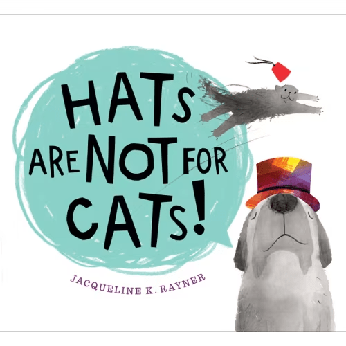Hats Are Not For Cats! Board Book book by jacqueline k rayner, (Board Book) | Indigo