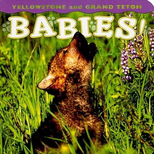 Yellowstone and Grand Teton Babies! (Babies! Animal)