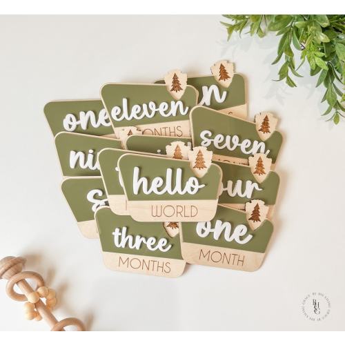 National Park Monthly Milestone Discs For Baby Photos + Matching Birth Stat Sign | Monthly Milestone Marker | Rustic Monthly Milestones