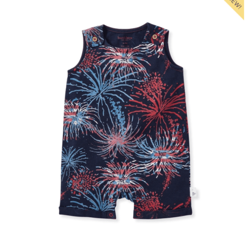 6-9 Mo Celebrate America Organic Baby Boy Romper