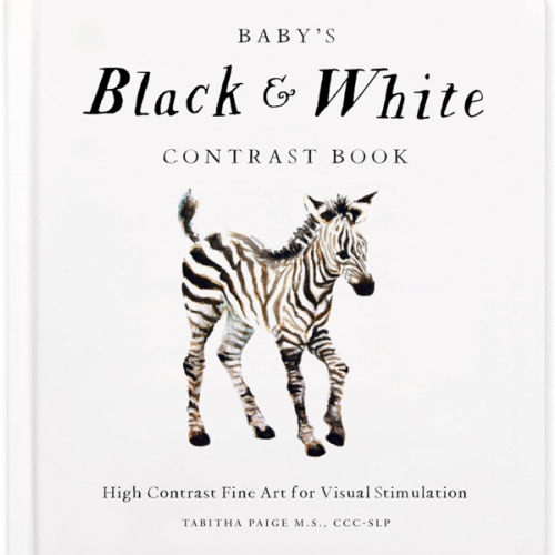 Baby's Black and White Contrast Book: High-Contrast Art for Visual Stimulation at Tummy Time (Our Little Adventures Series)