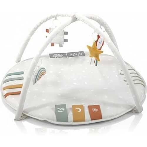 Beautiful Baby Play Gym and Tummy Time Mat - Soft Cotton Mat with 4 Cute Toys & Cards Creates The Perfect Activity Area for Your Girl/Boy - Stylish Infant Floor Playmat for Any Playroom Decor