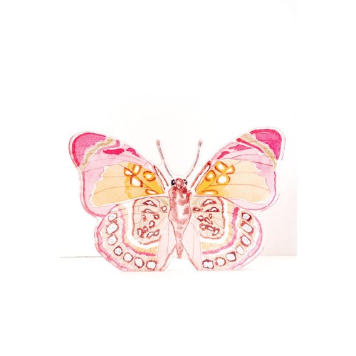 Large Pink and Green Butterfly Acrylic Art Block — Catherine Cartie