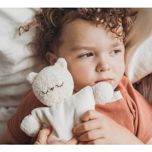 Comfe. E. Bear Organic Warm Pack, Organic Cotton, Ages 2 and up, Heirloom Baby Toy, Eco Toy