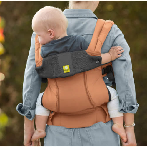Lillebaby Carrier Complete 6-in-1 All Seasons - Terra
